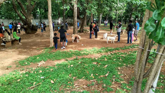 dog park in Haryana, Panchkula, India