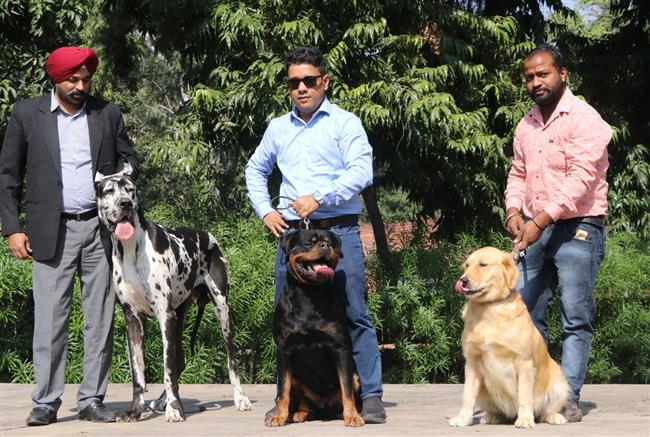 dog park in panchkula 