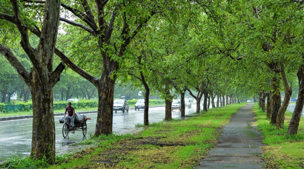 monsoon in chandigarh 