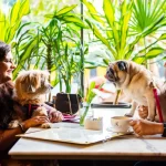 pet friendly restaurants in Chandigarh Tricity