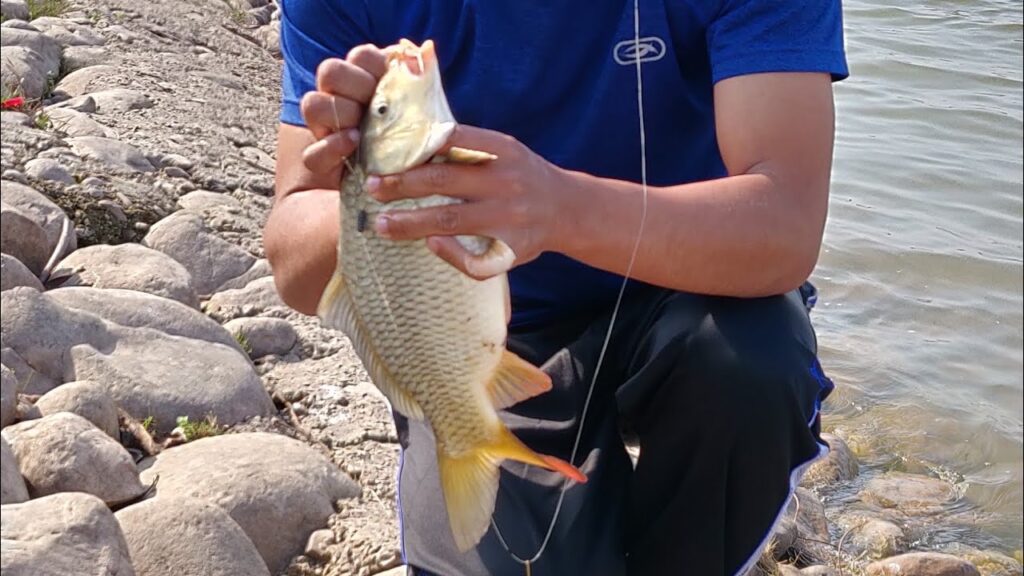 fishing experience at Sukhna lake 
