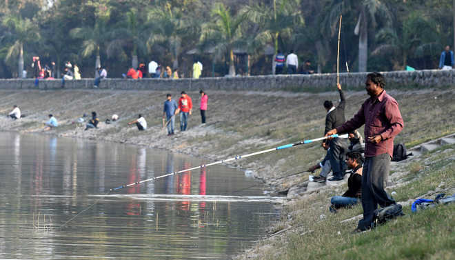 Chandigarh Admin To Set Up A Public Aquarium/Fish Café At Sukhna Lake