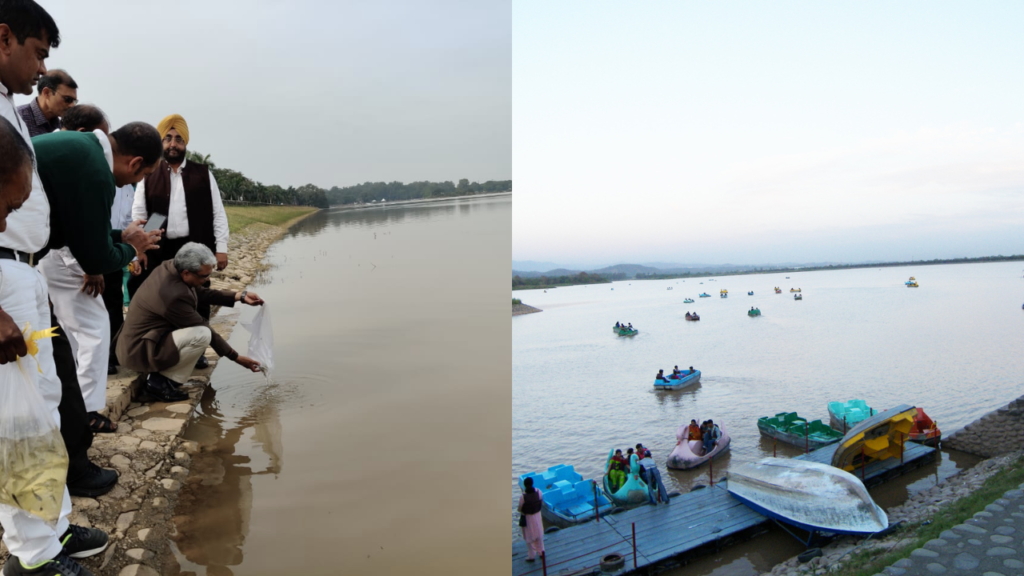 Chandigarh Admin To Set Up a Public Aquarium/Fish café at Sukhna Lake