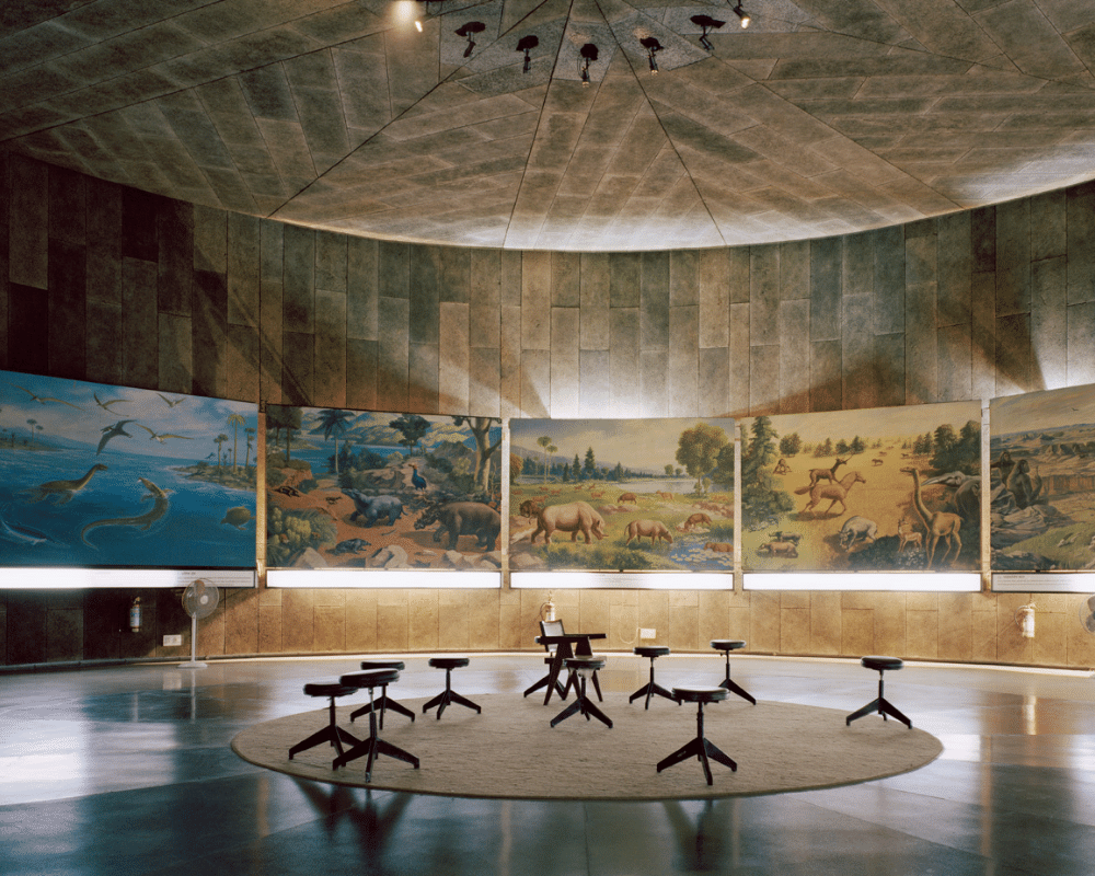 museums in chandigarh