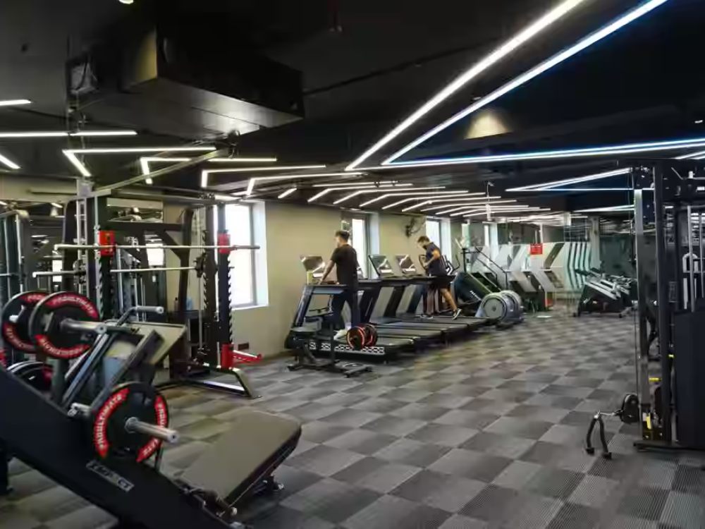 Pro Ultimate Gym